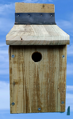 RSPB design bird box