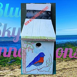 Decorated RSPB design bird box